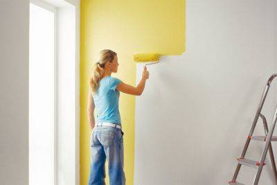 Какую краску лучше использовать для окрашивания стен