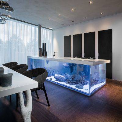 Аквариум на кухне или кухня в аквариуме: потрясающий пример необычного декора - roomble.com - Голландия