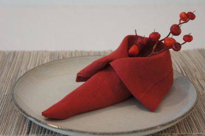 Как красиво сложить салфетки: 50 идей для сервировки новогоднего стола - roomble.com