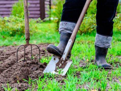План садово-огородных работ на майские праздники - rmnt.ru
